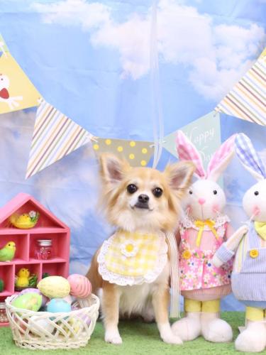 20240330りるちゃん